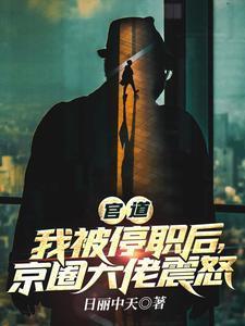 官道我被停职后京圈大佬震怒第738章