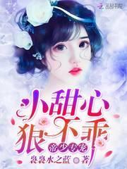 帝少狂宠小甜心