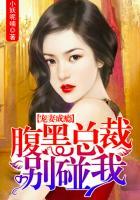 腹黑总裁宠妻如命