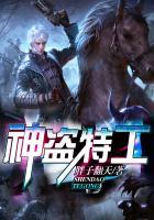 神盗特工 聚合中文网