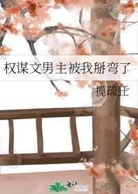 权谋文男主被我掰弯了笔趣阁