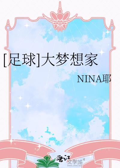 足球大梦想家txt
