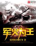 军火为王免费阅读
