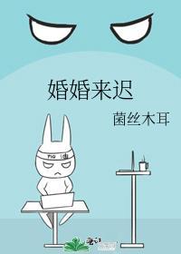 婚婚来迟陆屿秦以枝