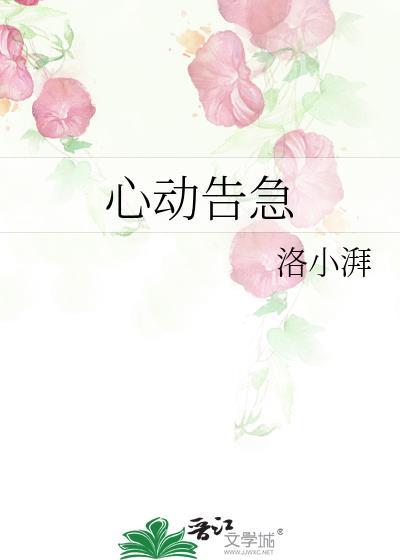 心动告急作者洛小湃