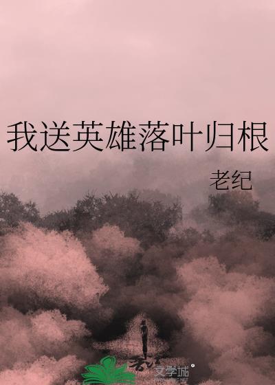 我送英雄落叶归根免费