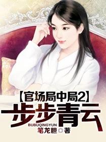 官场局中局无弹窗