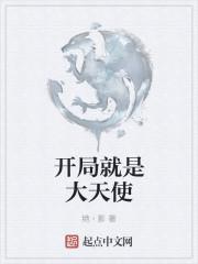 开局一个大天使无弹窗