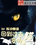 回到过去变成猫多少字