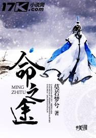 轮回觉醒逆命之途