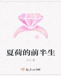 女主叫夏荷的电视剧