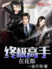 终极高手