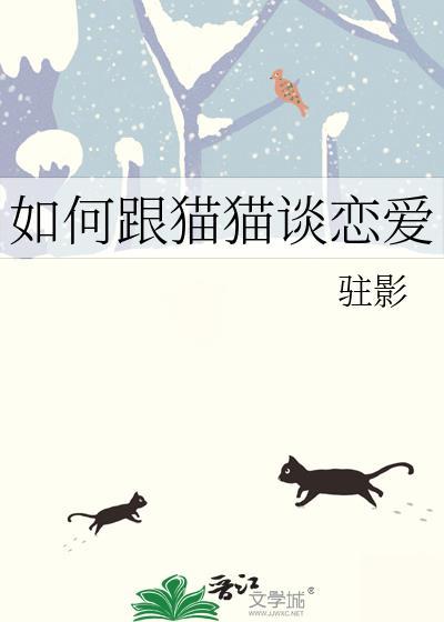 如何跟猫猫谈恋爱游戏