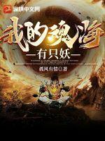 我的魂力可以打到多少集了