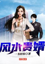 风水神婿最好的瓜