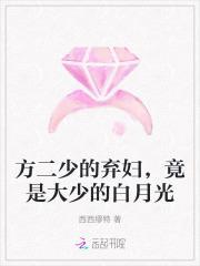 方少爷是什么电视剧