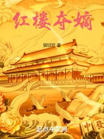 红楼之夺爵格格党