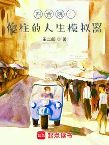 四合院傻柱的人生模拟器最