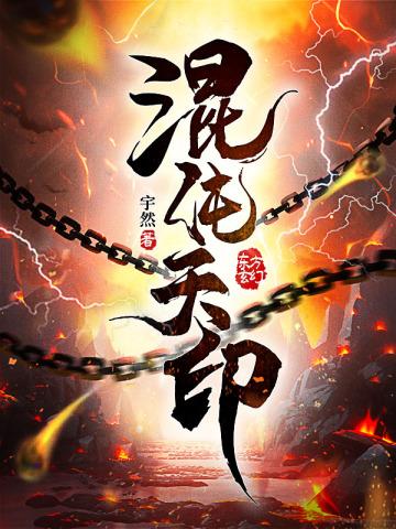 混沌天印的简介