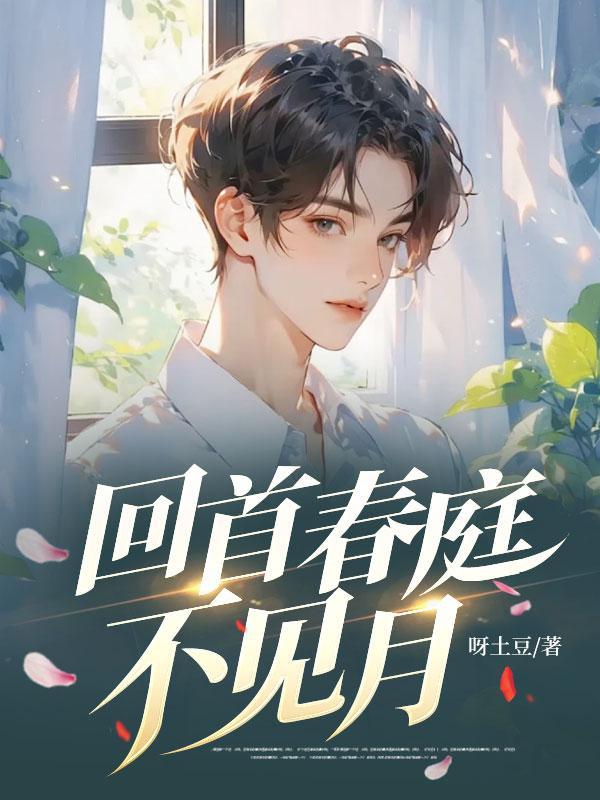 回首不见在线阅读