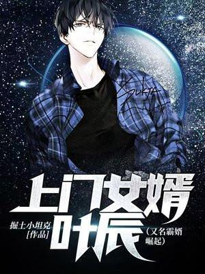 上门女婿叶辰免费阅读