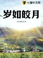 岁如皎月是什么意思