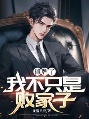 我不只是败家子叶风