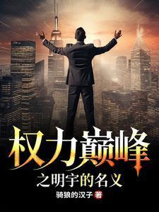 权力巅峰之明宇的名义前传视频