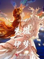 依婷紫微斗数讲义