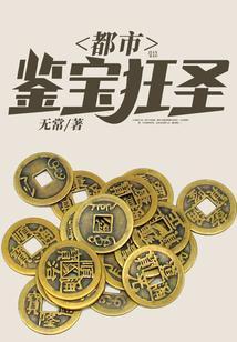 都市鉴宝狂圣动画