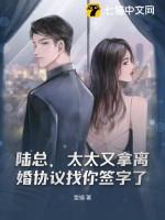 太太又拿离婚协议找你签字了 江念