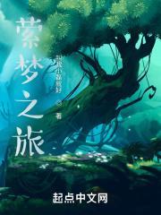 梦之旅途