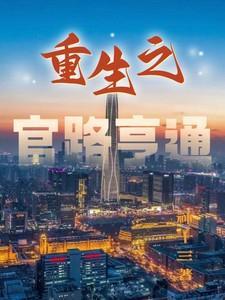 重生之官路辉煌全文