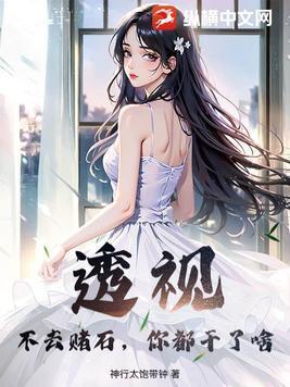 透视赌石是什么电视