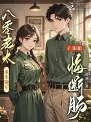 重生八十年代军婚随军