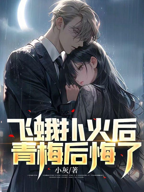 飞蛾扑火没结果