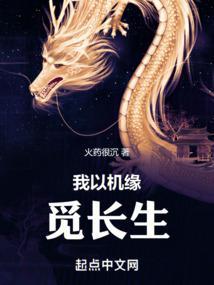 我以机缘觅长生境界划分