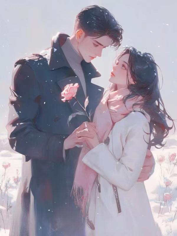 爱如镜花水月短剧