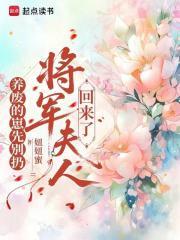 将军夫人养儿计
