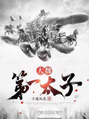 大魏第一少主