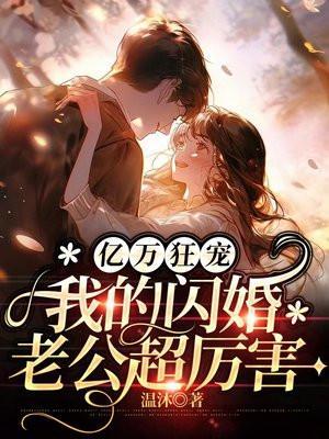 我的闪婚老公超厉害免费阅读