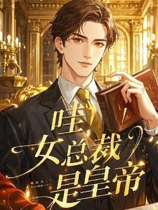 女总裁是我老婆