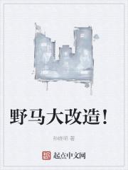 野马汽车改装视频