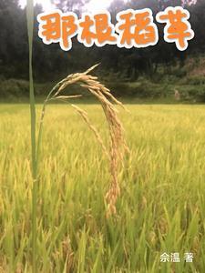 一根稻草寓意什么