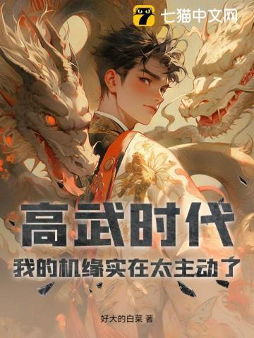 高武时代是什么意思