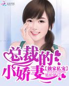 总裁的独家宠爱