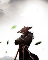 [综武侠]美人兔兔天下第一