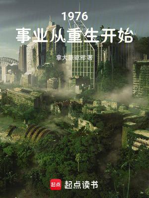 1976:事业从重生开始