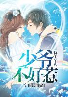 特工丫头:少爷不好惹