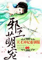 邪王萌宠:天才神妃难驯服